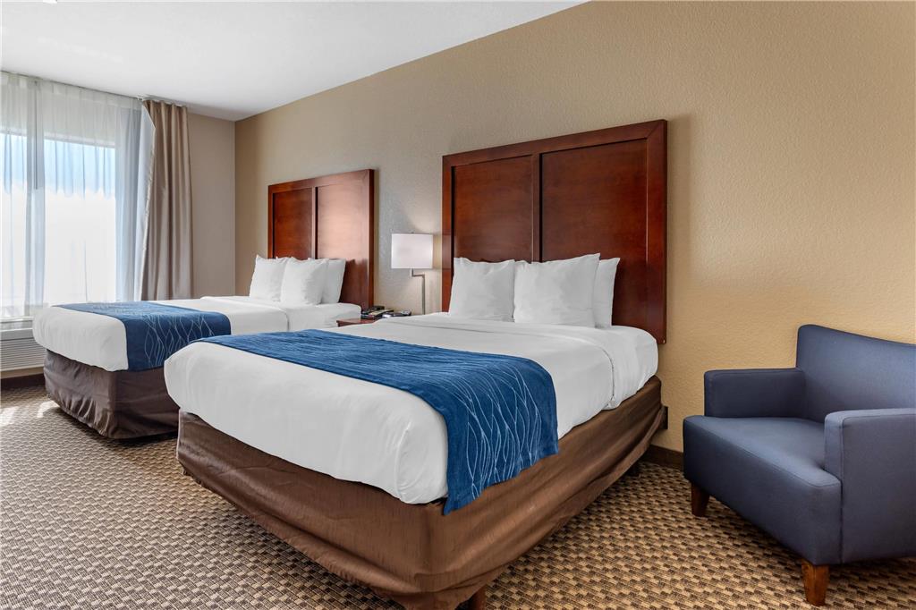 Comfort Inn & Suites Navasota - photo 10