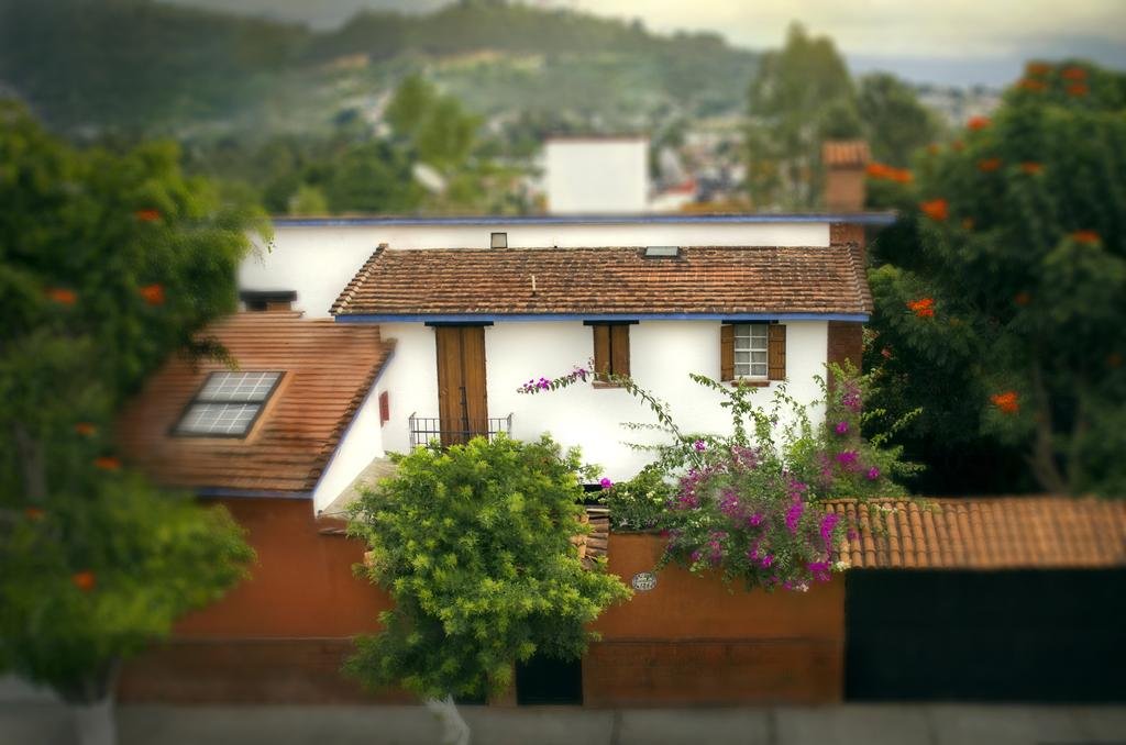 Oaxaca Deleite in Oaxaca, Mexico