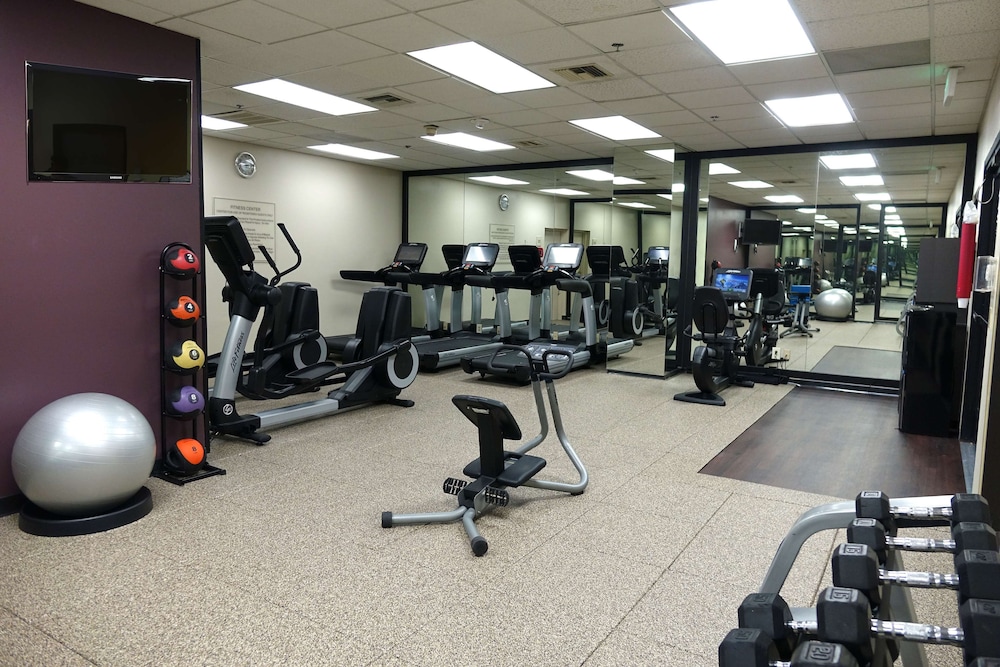 Embassy Suites by Hilton Los Angeles International Airport North - photo 25