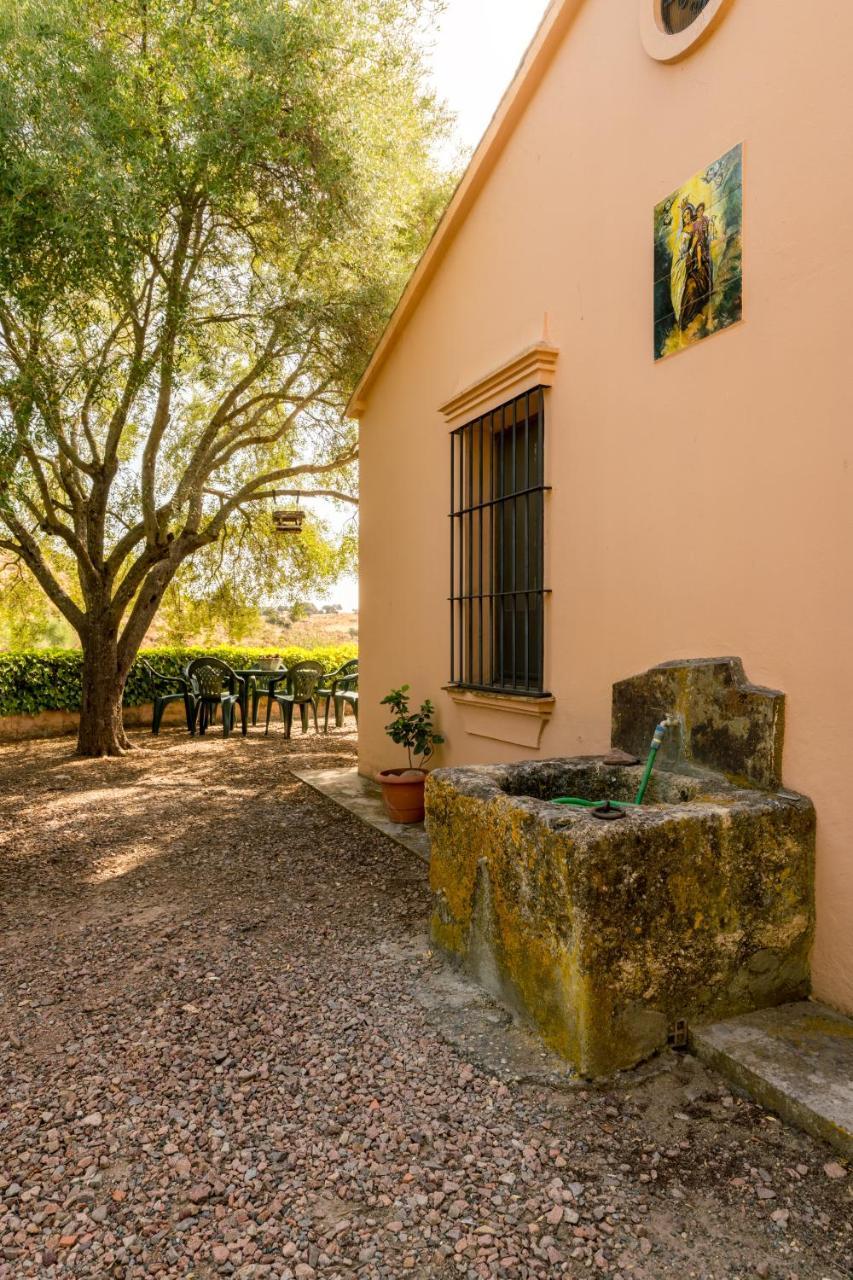 Cortijo El Carmen Finca El Revuelo — Constantina