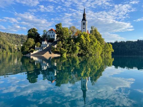 Rooms Ravnik — Bled — photo 5