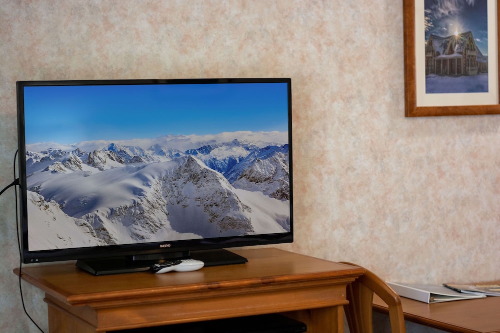 Swiss Alps Inn - photo 29