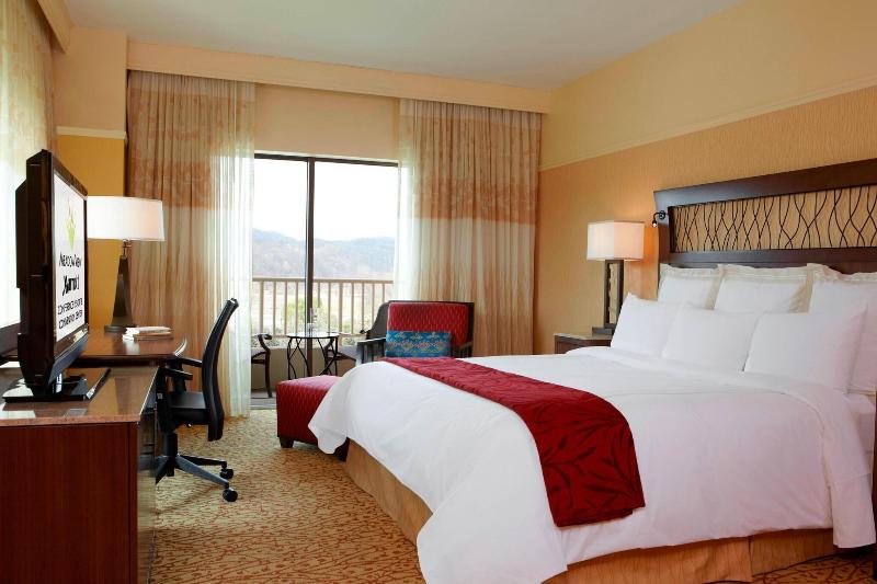 MeadowView Conference Resort & Convention Center - photo 154
