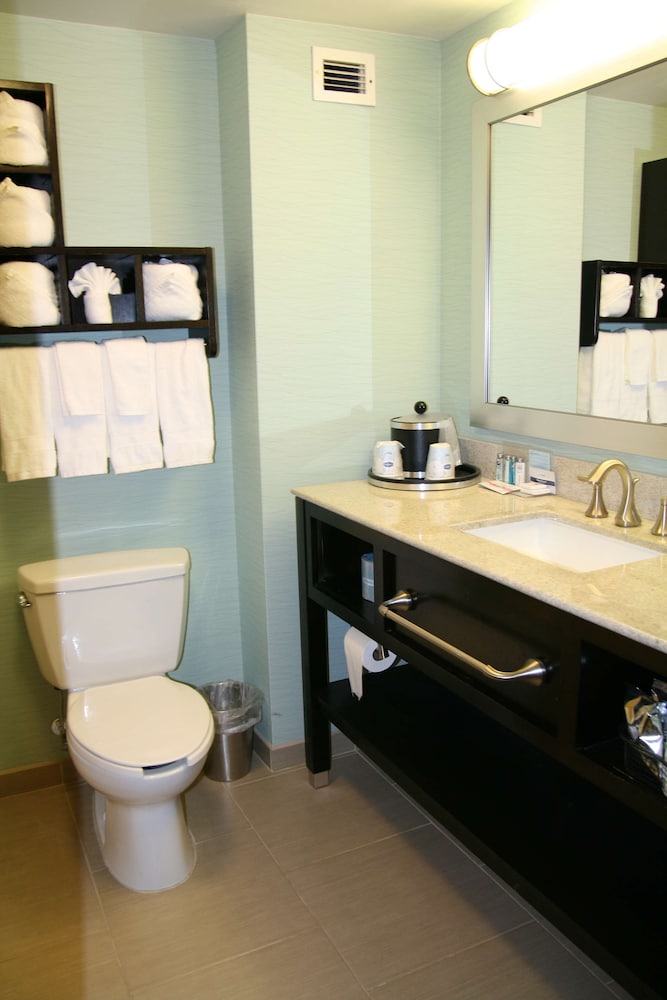Hampton Inn Shreveport Airport - photo 61