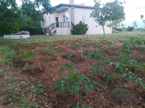 Hill View 4 — Alexandroupoli — photo 4