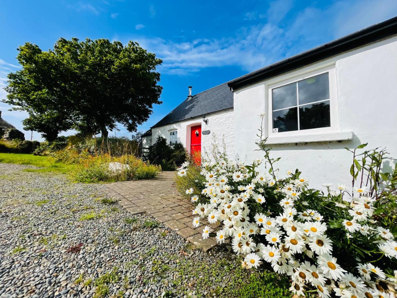 The Dairy @ Trefechan Wen — Goodwick — photo 4