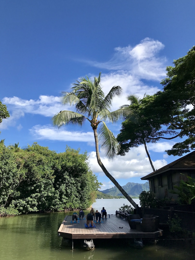Paradise Bay Resort - photo 56