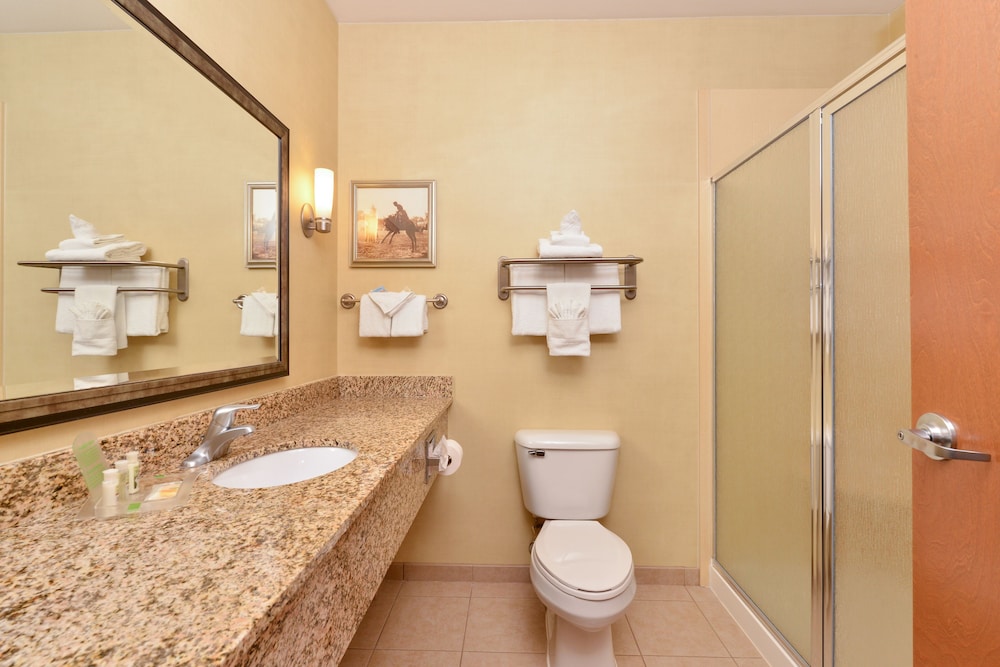 Holiday Inn Laramie by IHG - photo 14