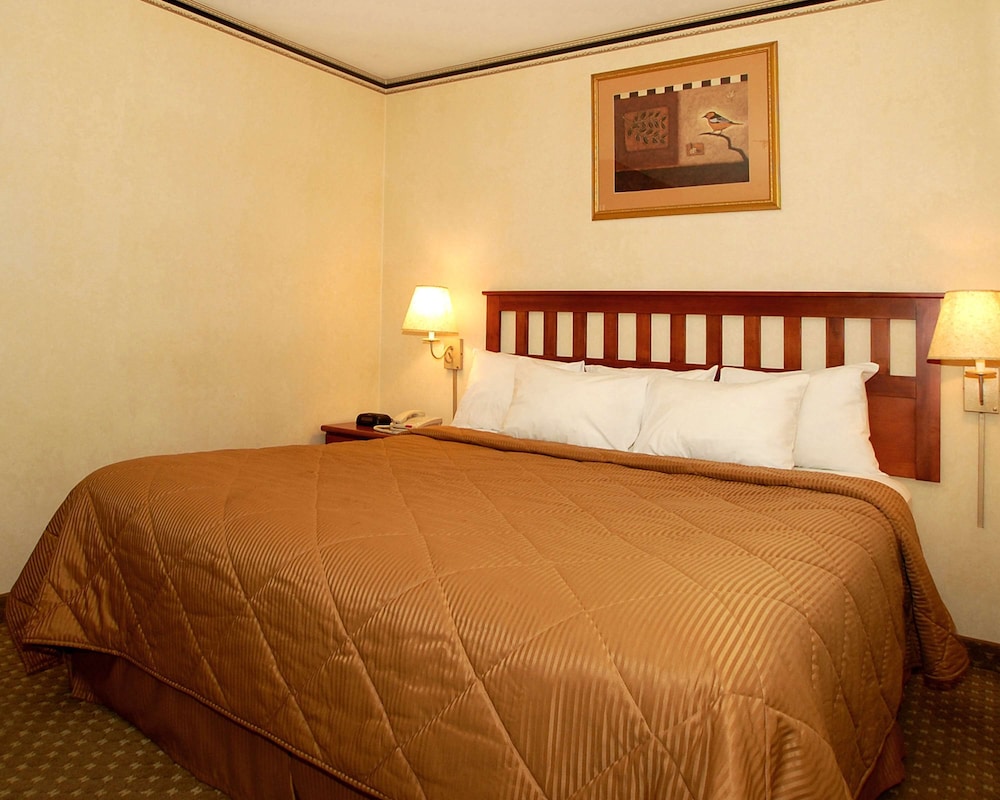 Crescent Hotel - photo 7