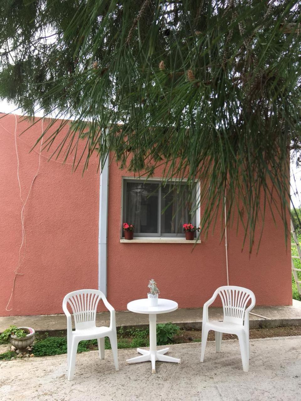 Detached Cozy Studio
