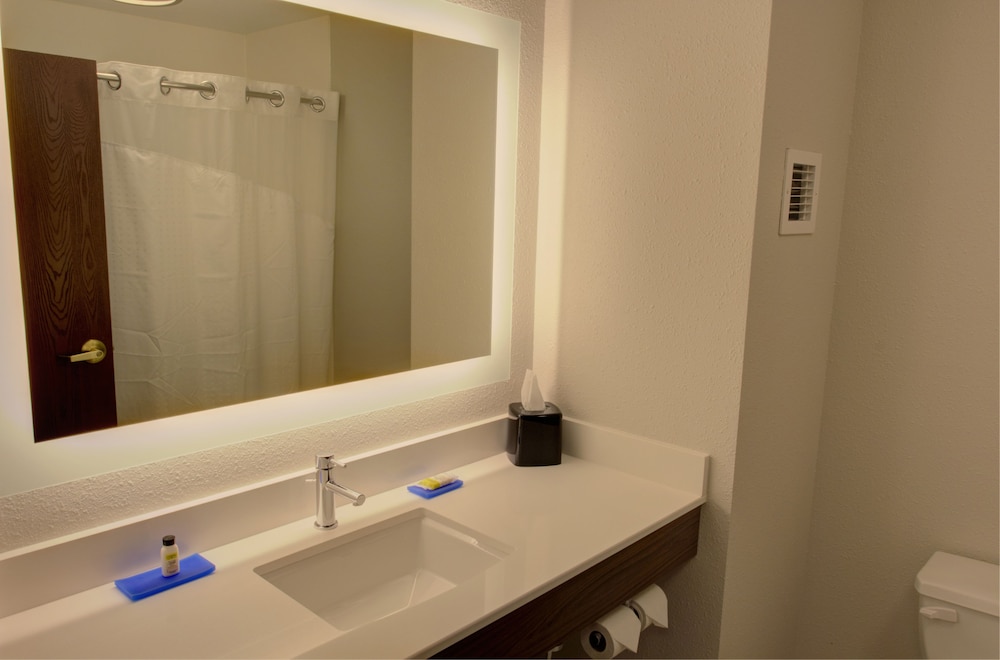 Holiday Inn Express Hotel & Suites Le Mars by IHG - photo 24