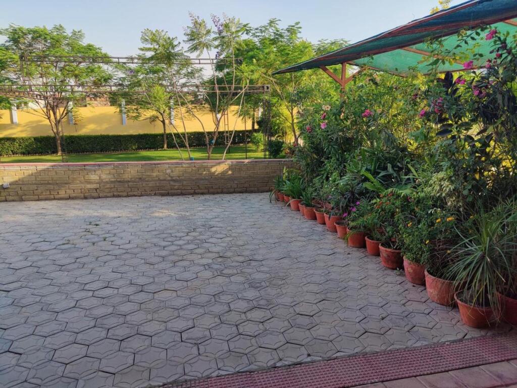 Brick Field — Varanasi — photo 5