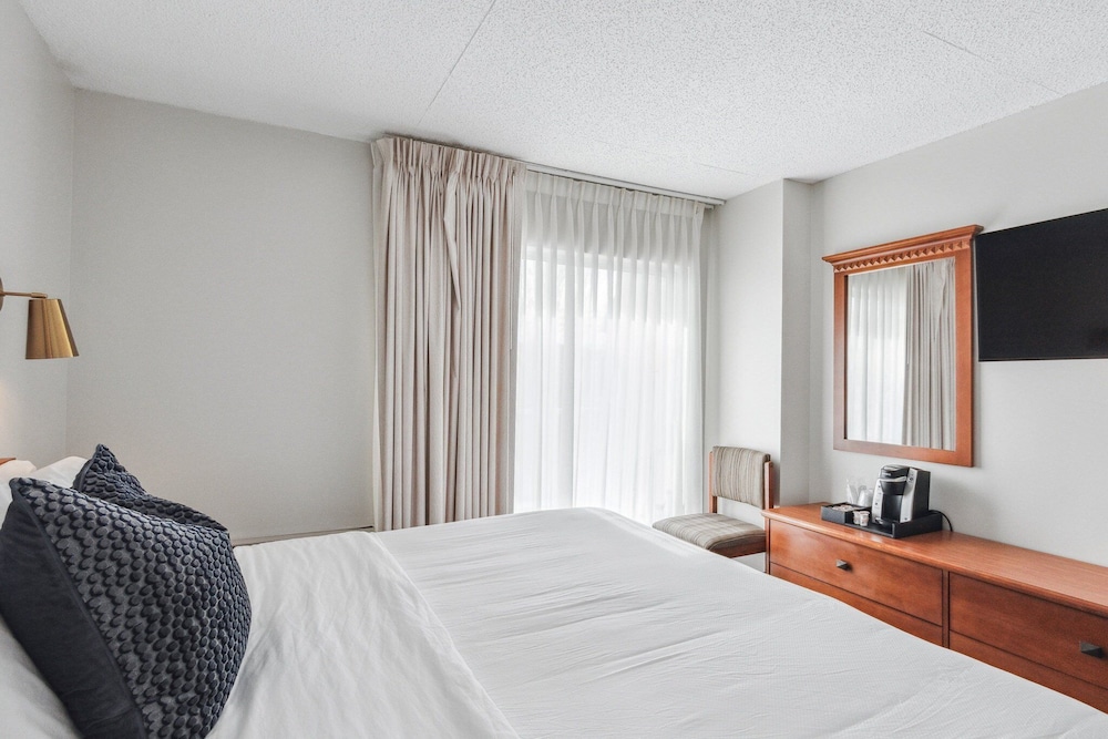 Cape Suites Motel - photo 22