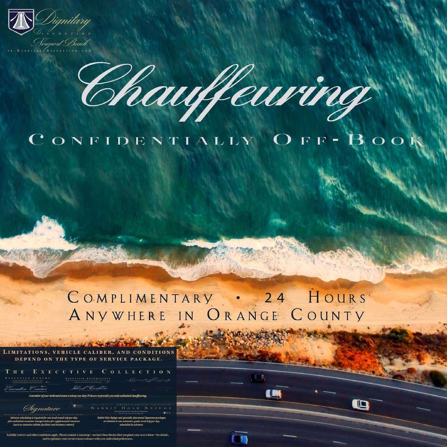 Dignitary Discretion Newport Beach - photo 6