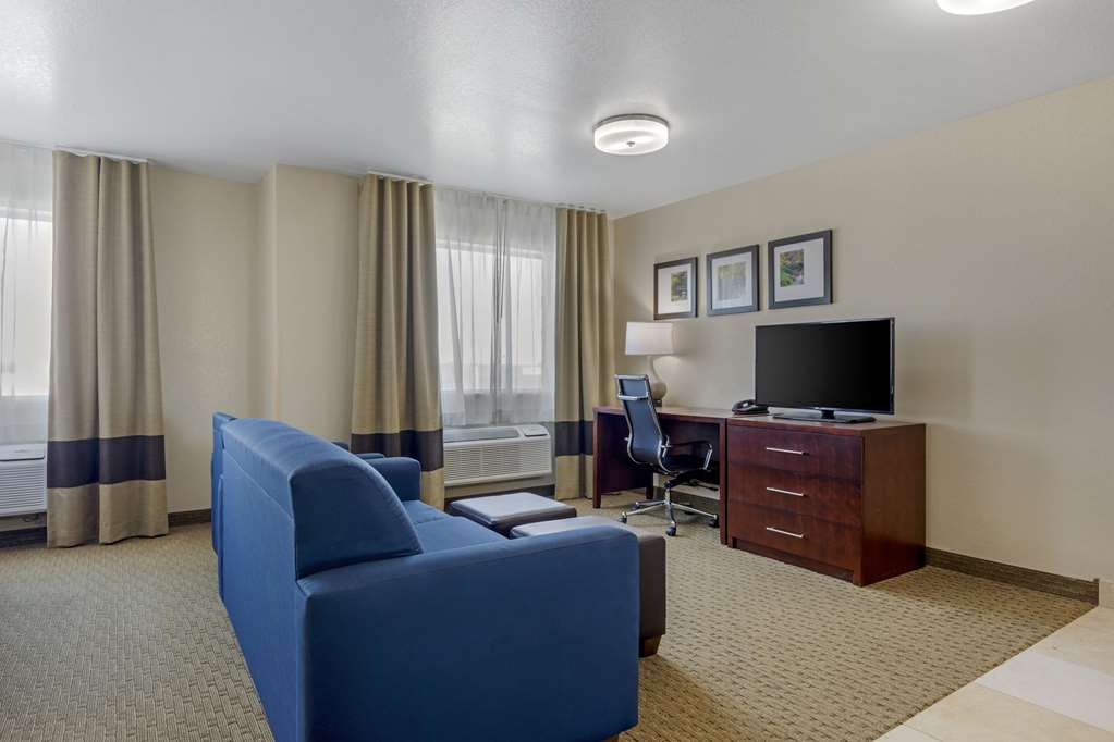 Comfort Suites Benbrook Fort Worth Southwest - photo 13