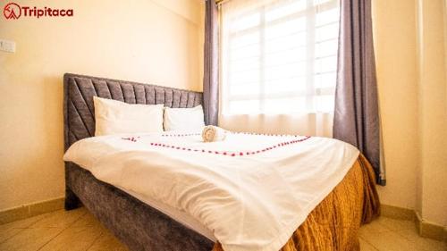 Cosy 1Br 43' Smart Tv
