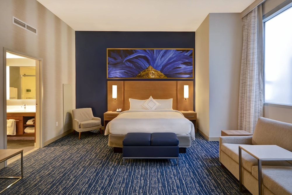 Residence Inn by Marriott New Orleans French Quarter Area Central Business District - photo 19