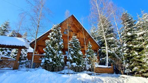 Gostynniy Dvir Коттеджи — hotel in Myhove