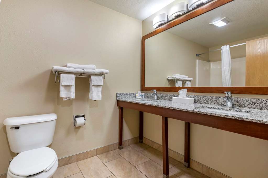 Comfort Inn & Suites Cedar Rapids North Collins Road - photo 35