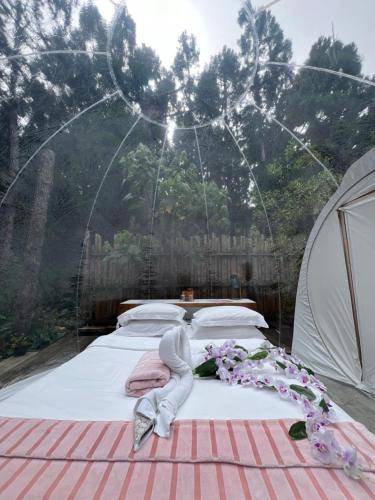 Kaz Insolite in Saint-Louis, Réunion