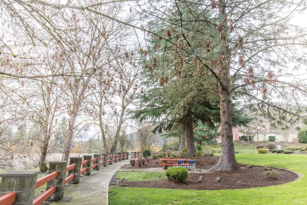 Riverfront Inn Roseburg - photo 46