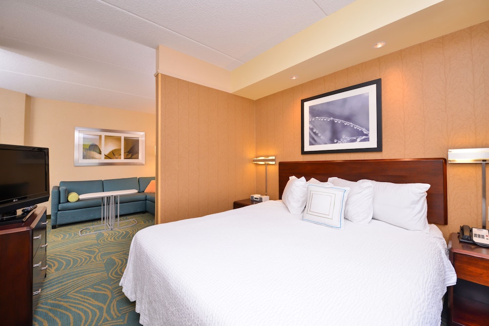 SpringHill Suites by Marriott Arundel Mills BWI Airport - photo 4