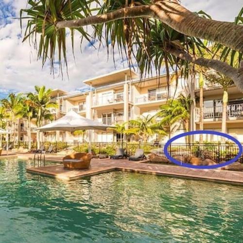 Lagoon Pool Access Salt Resort Spa 1br — Kingscliff