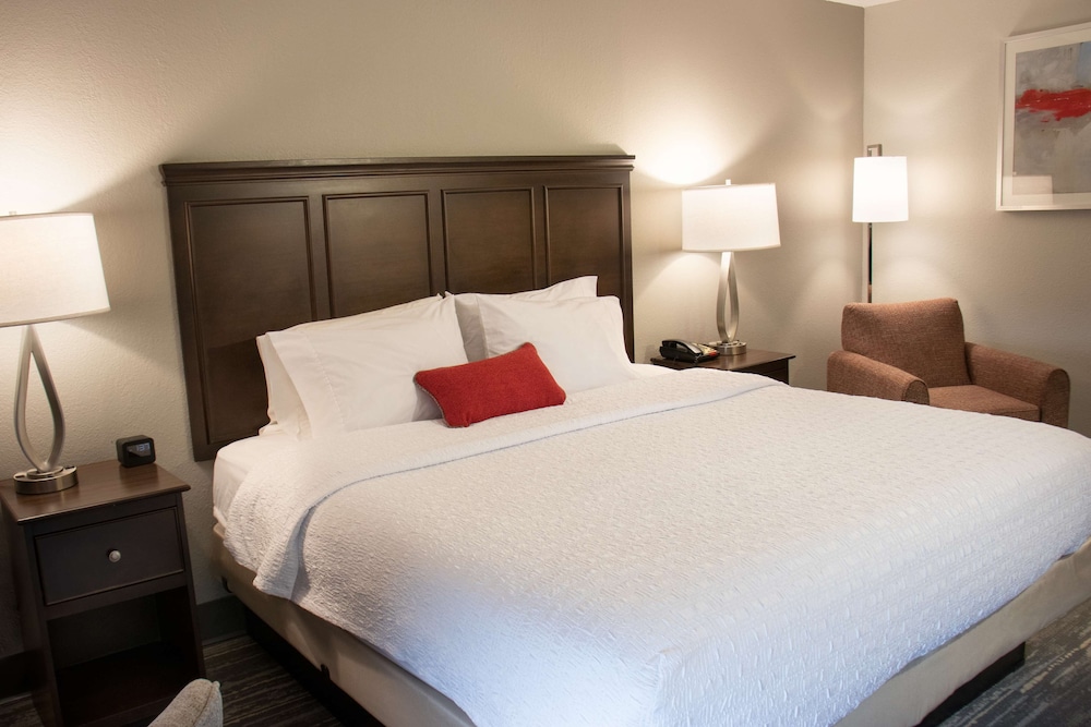 Hampton Inn Tuscaloosa University - photo 9
