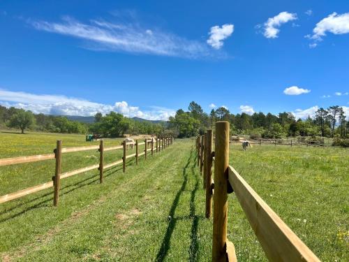 La cabane de babarot — Aups — photo 4