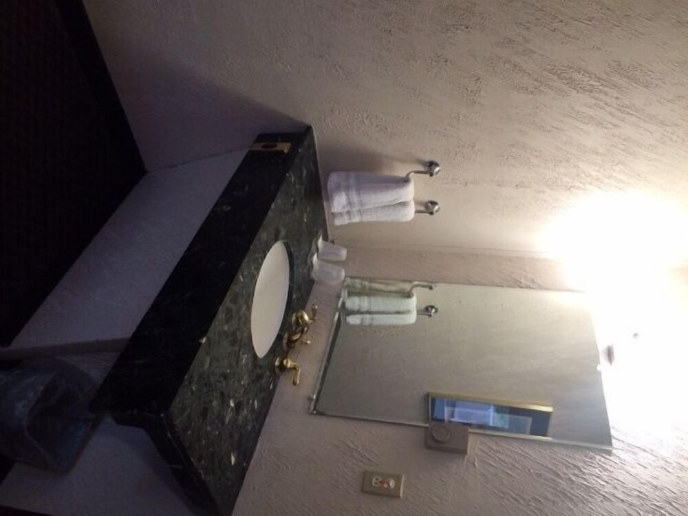 Pink Fountain Motor Inn - photo 18