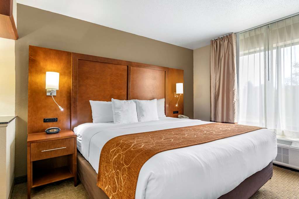 Comfort Suites Grand Rapids North - photo 11