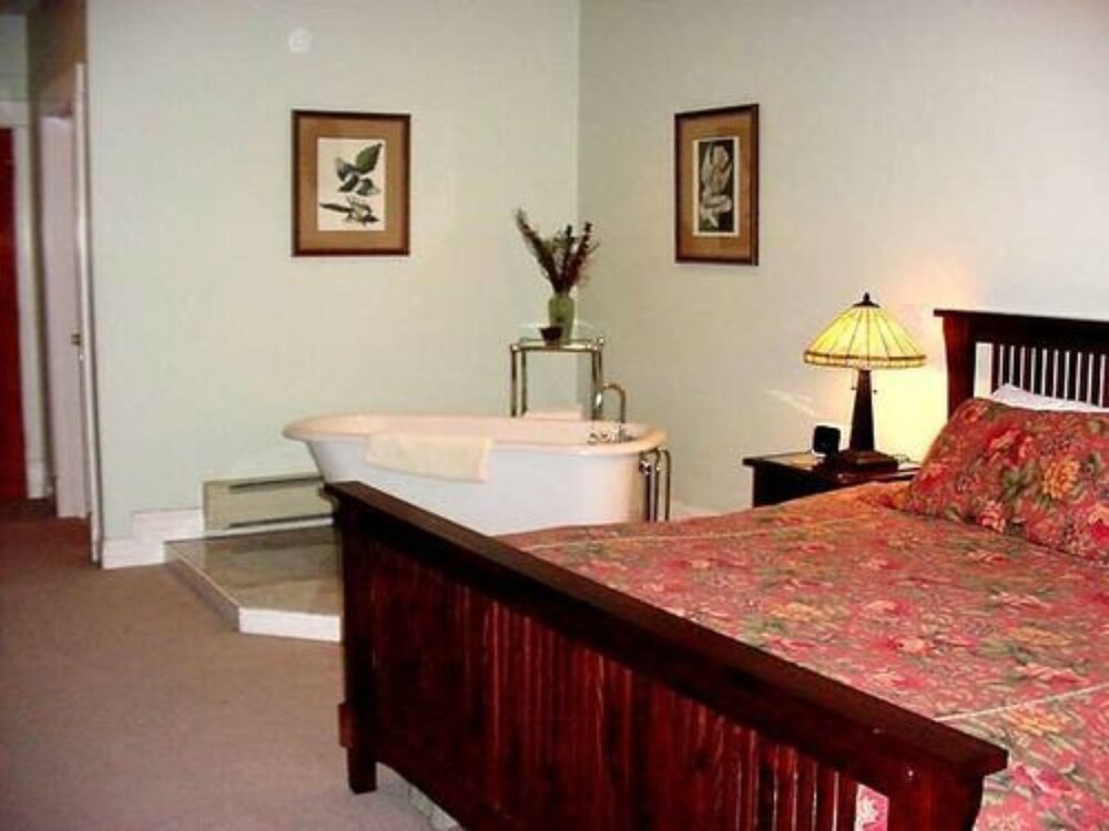 Alps Boulder Canyon Inn - photo 30
