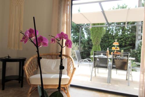 Les Bastidons de LIsle Le Saint Julien 3 étoiles pet-friendly hotel L'isle-Sur-La-Sorgue