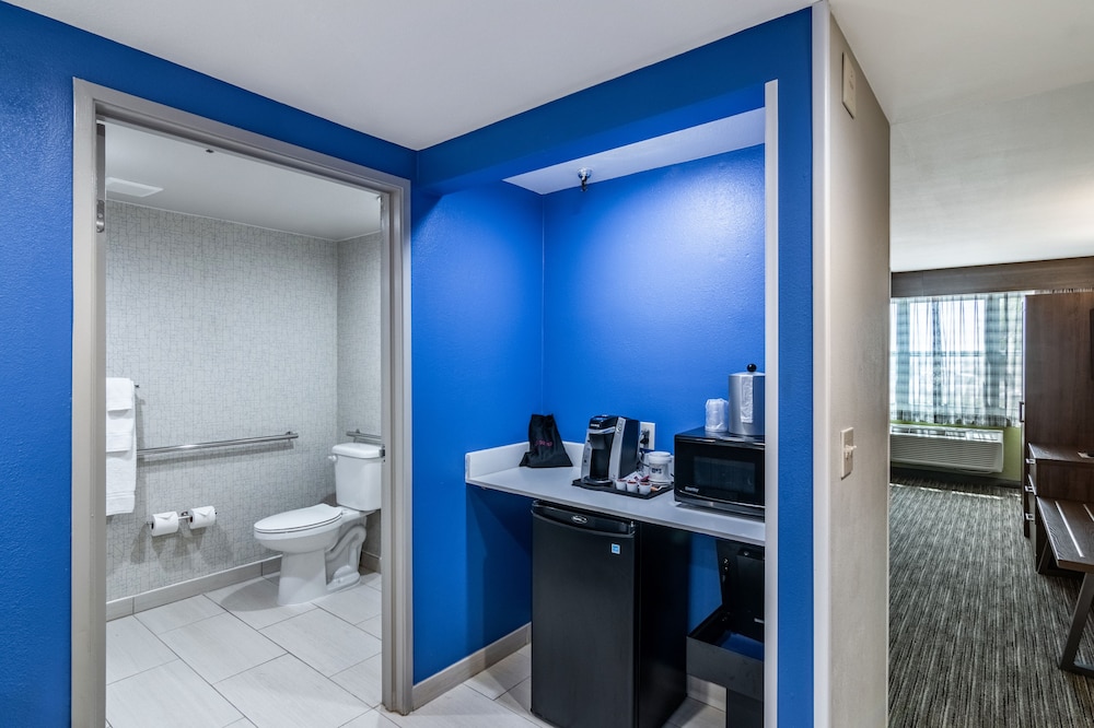 Holiday Inn Express & Suites Camarillo by IHG - photo 24