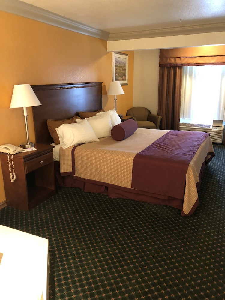Cloverdale Wine Country Inn & Suites - photo 12