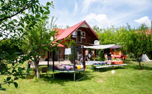 Ama Bliss in Avrig, Romania