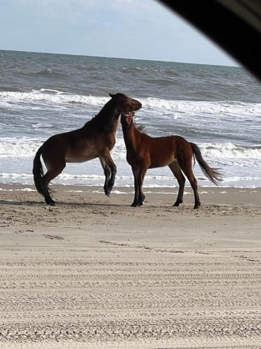 Wild Horse Inn in Unknown City, United States
