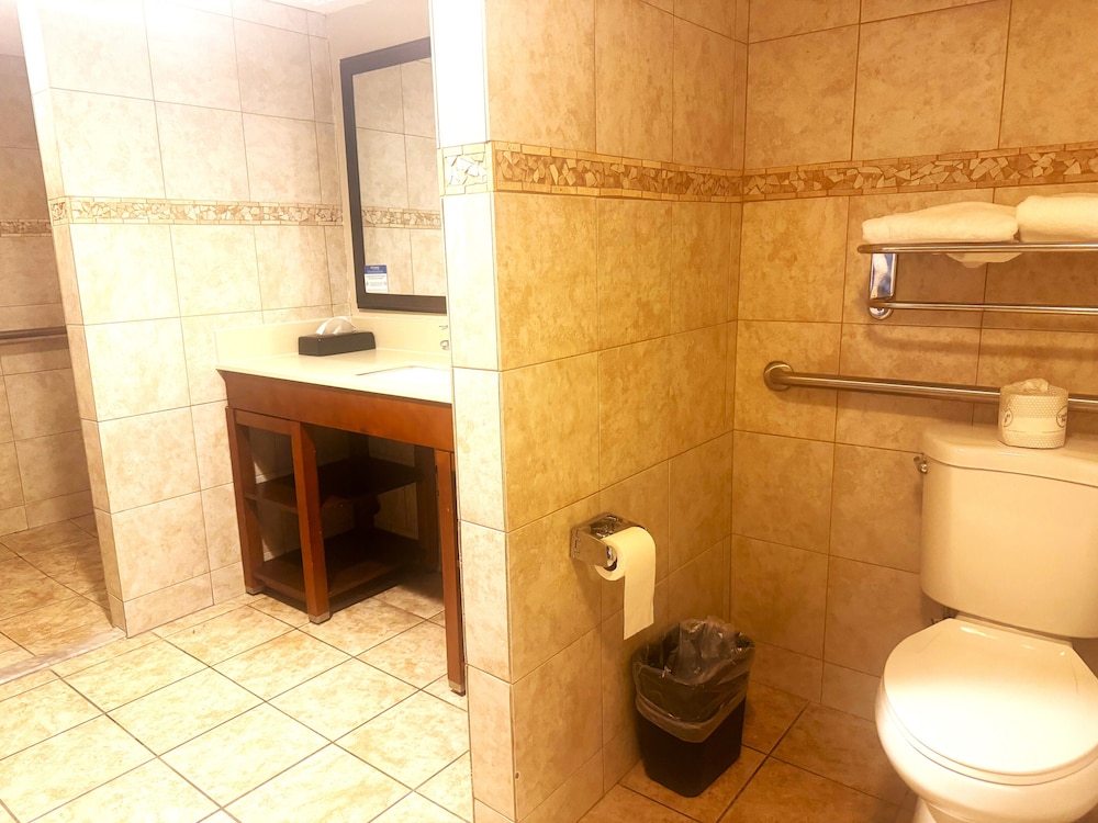 Comfort Inn Salt Lake City Downtown - photo 52