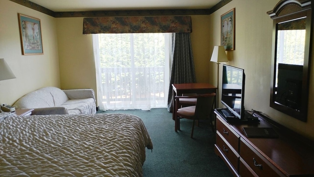 Palace Inn Suites Lincoln City - photo 14
