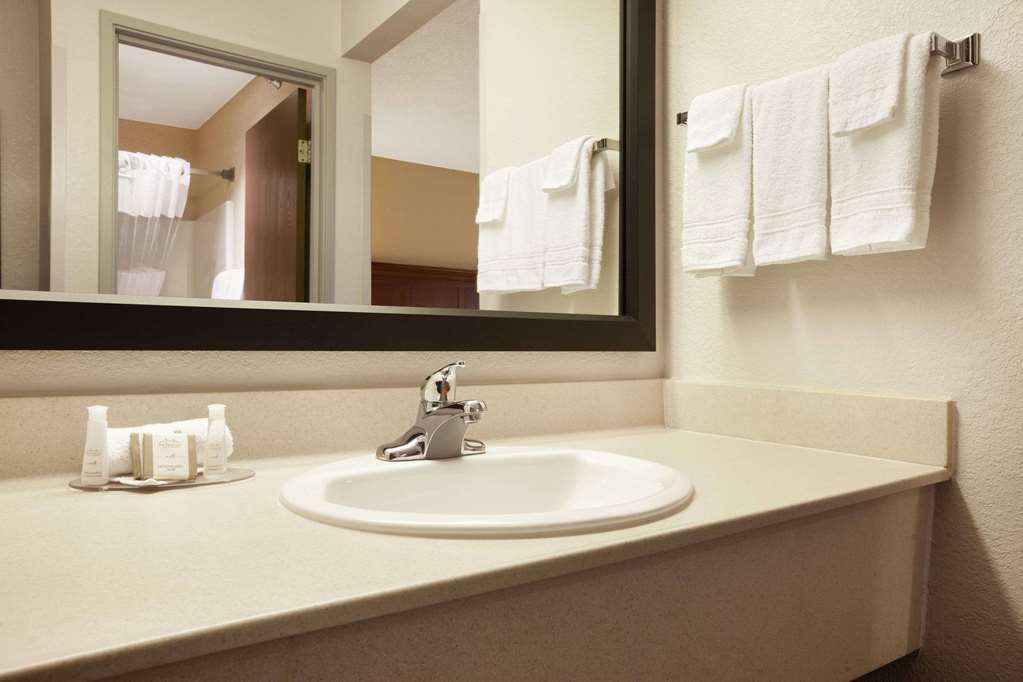 Baymont by Wyndham Sioux Falls - photo 6