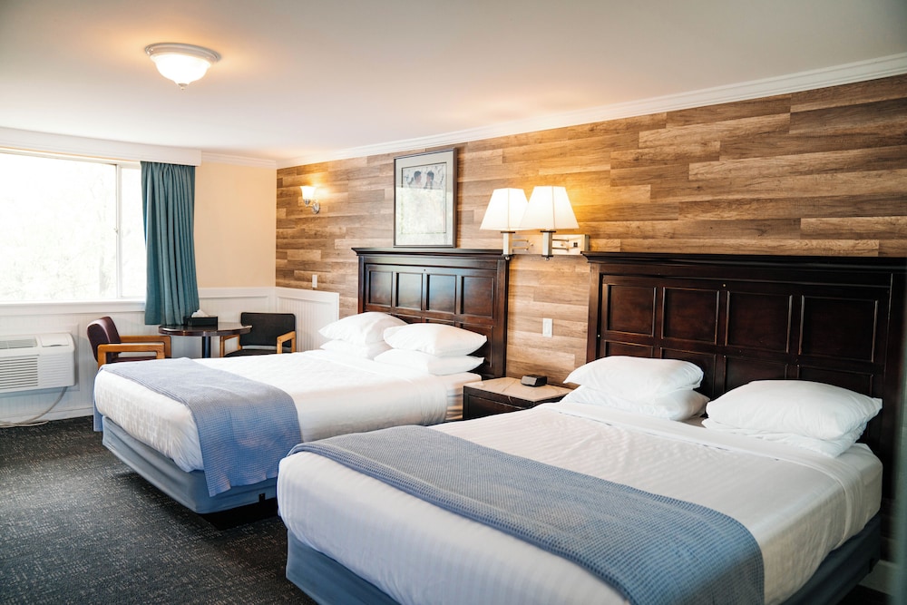 Salida Inn & Monarch Suites - photo 29