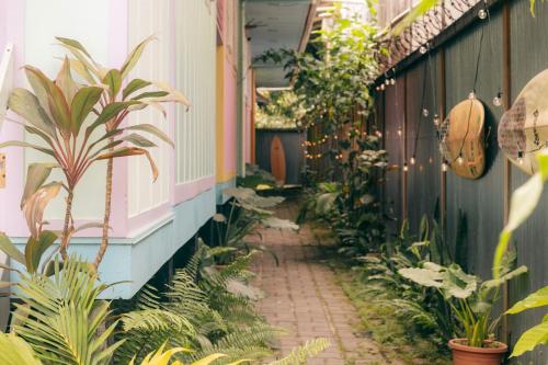 Candyland Cabanas — Bocas Del Toro — photo 3