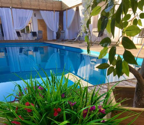 Hotel 7 in Kapshagay, Kazakhstan