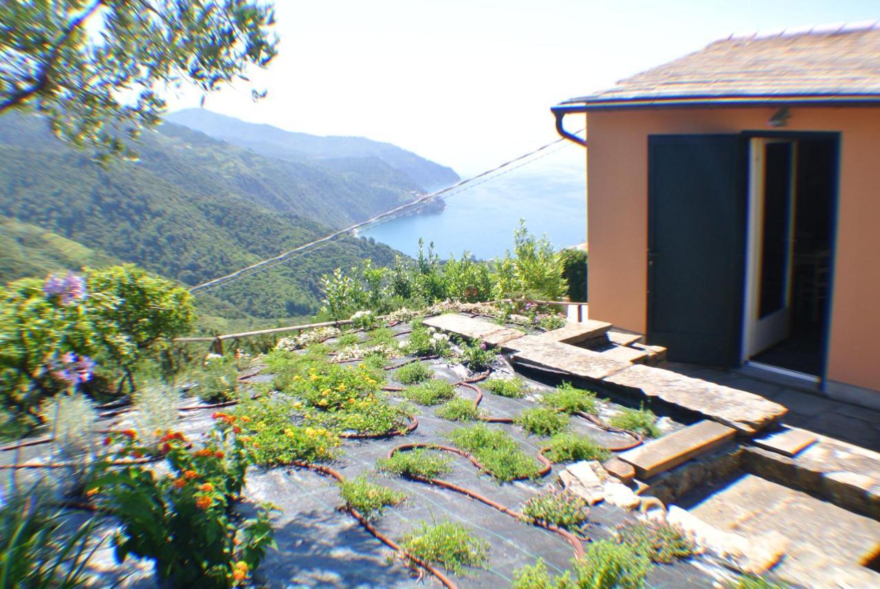 Walk And Relax Retreat Homy 5 Terre — Vernazza
