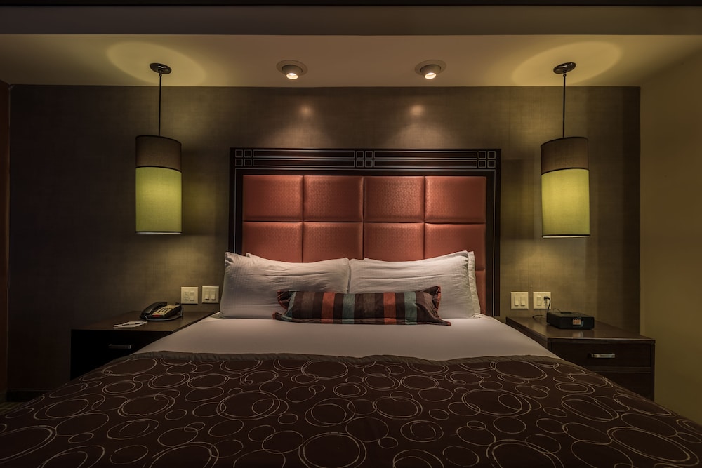 Staybridge Suites DFW Airport North by IHG - photo 10