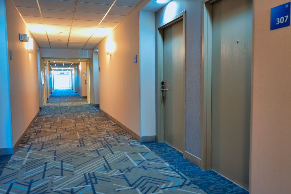 Holiday Inn Express Hotel & Suites Tampa Northwest Oldsmar by IHG - photo 62