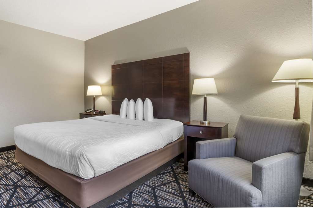 Best Western Plus Hobby Airport Inn & Suites - photo 24