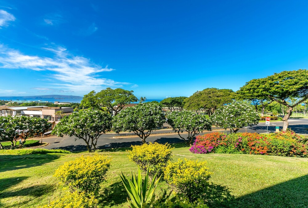 Wailea Ekolu #501 - photo 14