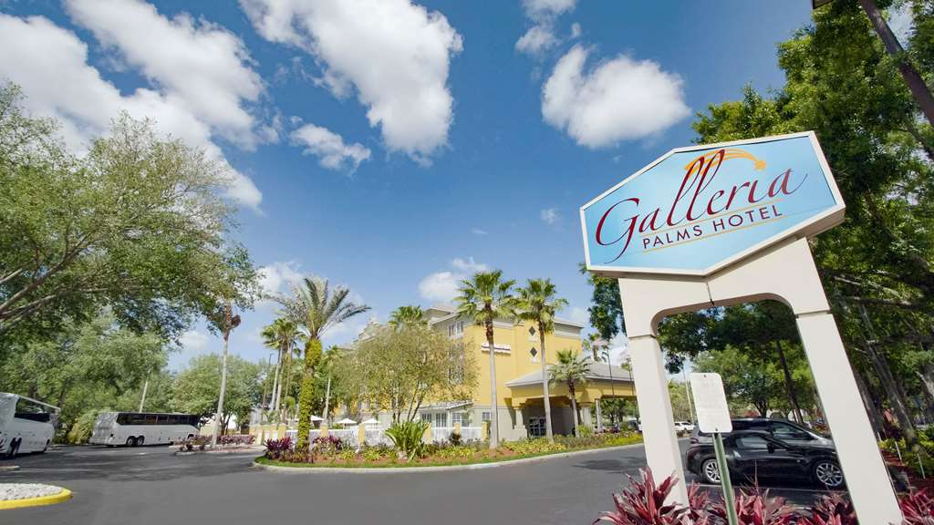 Galleria Palms Hotel - photo 46