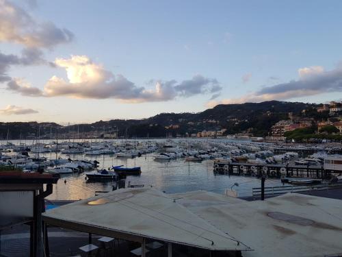 Vittoria — Lerici